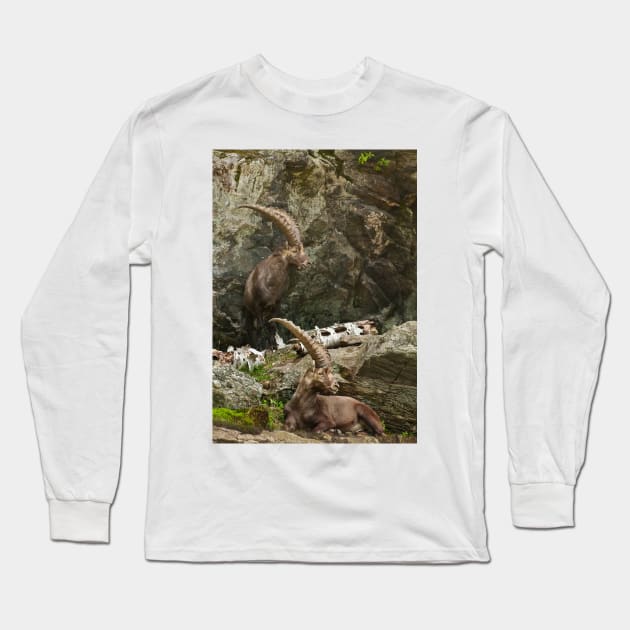 Ibex On Rocks Long Sleeve T-Shirt by jaydee1400